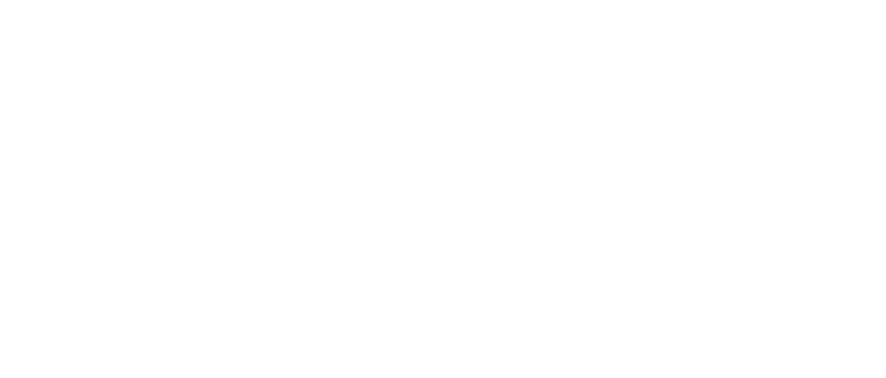 Universidad de Chile