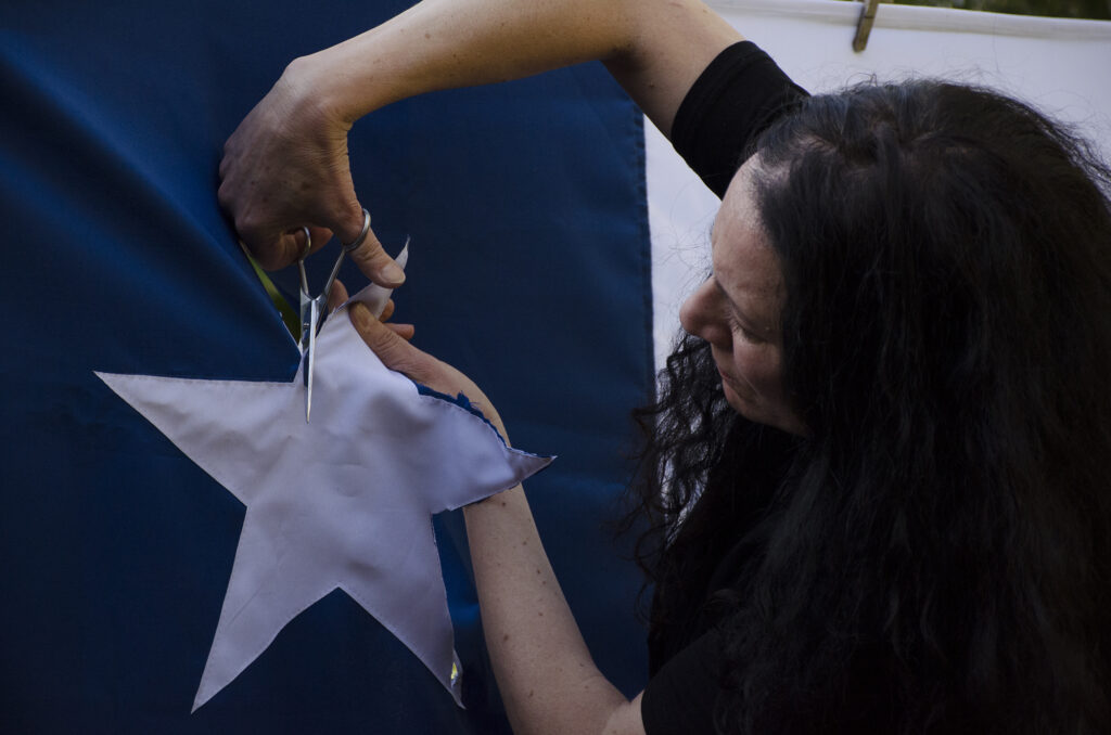 La bandera, el museo y la artista